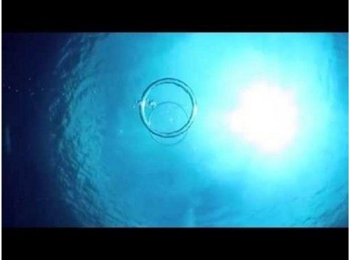 [오키나와·미야코지마] 그미야코지마바다를 느낄 보트 체험다이빙· 2 다이브 (1 일 코스 런치 포함)の画像