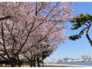 [Tokyo Daiba] Departing/returning from Etchujima; 120-minute private cruise "Cherry blossom viewing with luxurious meal" plan ☆彡 Hors d'oeuvres and welcome drink included!