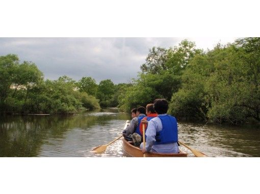 [ฮอกไกโด พื้นที่ชุ่มน้ำแม่น้ำคุชิโระ] พายเรือแคนูหรือเรือไปตามแม่น้ำที่กว้างและสงบพร้อมสัมผัสสายลมที่พัดผ่านหนองบึง [เส้นทางยาว]の画像