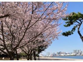 [Tokyo Daiba] Departing/returning from Gururi Park; 120-minute private cruise "Cherry Blossom Viewing with Luxury Meal" plan☆彡 Hors d'oeuvres and welcome drink included!