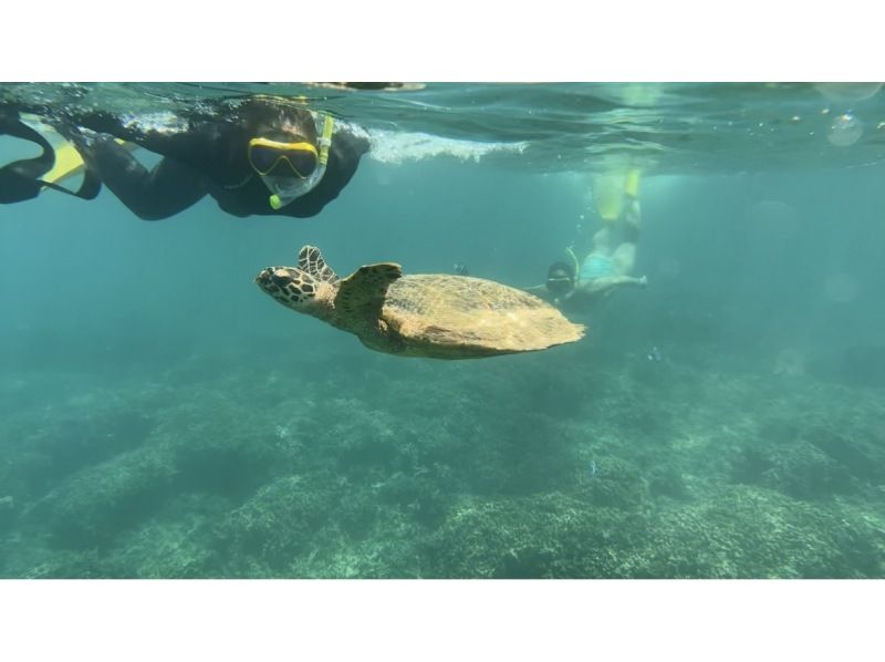 【沖繩・瀨底・水納島浮潛】★初學者或不會游泳也不用擔心！船用浮潛！の紹介画像