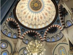 【東京】期間限定公開「神田川・環状七号線地下調節池」＆日本最大級のモスク「 東京ジャーミイ・トルコ文化センター」【029029-881】