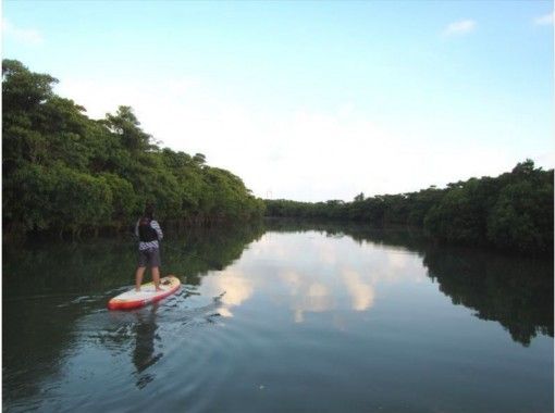 [Okinawa Ishigaki Island] You can participate even for the first time! Soaring popularity! SUP experience in the unexplored mangrove forest!の画像