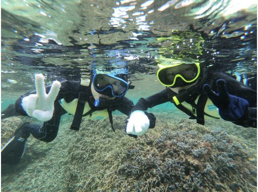 スプリングセール2025！石垣島・米原ビーチでスノーケルツアー！4歳〜OK！温水シャワーあり！水中写真プレゼントの画像