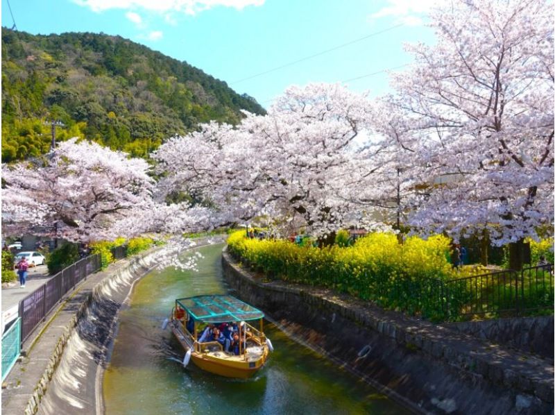 【滋賀・大津】春のびわ湖疏水船～桜の琵琶湖疏水と観月舞台で桜観賞～の紹介画像