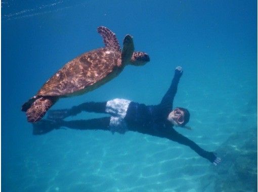 【石垣島/blue cave】島人が知る人気ポイント/吹通川観光こだわりボートシュノーケル　の画像
