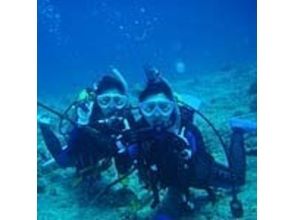 [โตเกียว] พยายามที่จะเพลิดเพลินไปกับโลกใต้น้ำ! โปรแกรม Discover Scuba Diving (มหาสมุทร)の画像