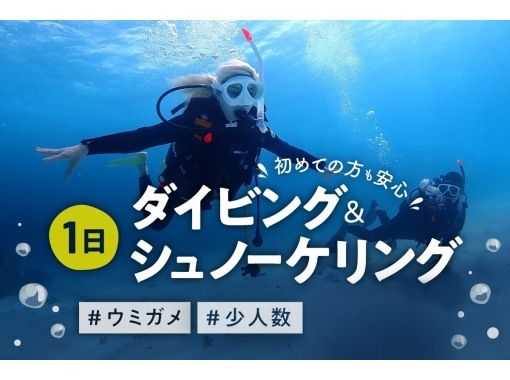 [Okinawa, Ishigaki Island] Experience diving and snorkeling up to 3 times a day! A luxurious plan where you can have fun to your heart's content! Free equipment rental and free tour photosの画像