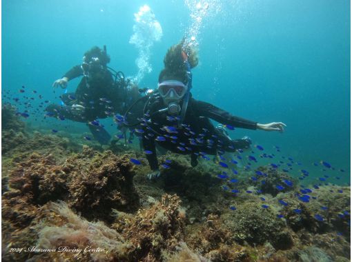 [Shizuoka, Izu Kogen] Equipment rental included ♪ Enjoy your first dive in Izu Akazawa, a resort-like place just 2 hours from Tokyo ♪の画像