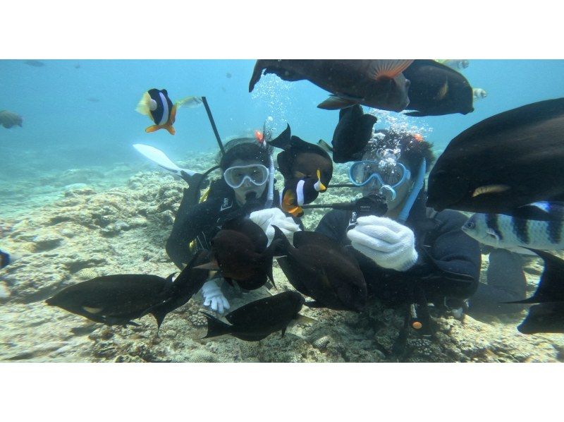 10000005815101_3tnhk79C_4.jpg?