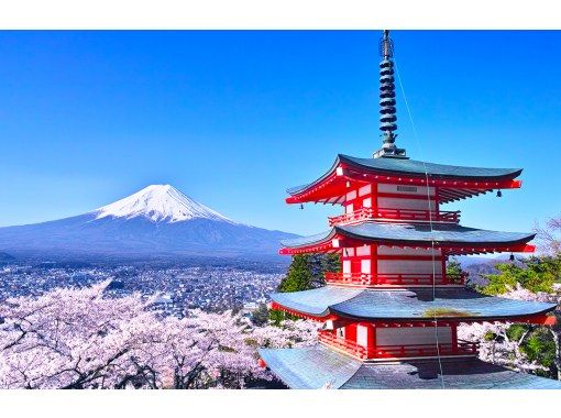 【静岡・富士山・バスツアー】富士山インターネットセレブの名所を巡る日帰り旅行・テンティタウン、忍野八海、河口湖、コンビニエンスストアローソンの画像