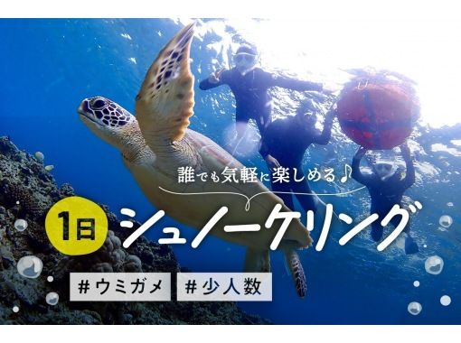 [Okinawa, Ishigaki Island] You can even catch sea turtles and manta rays - Luxury snorkeling with three swims in one day! [Free equipment rental & tour photo gift]の画像