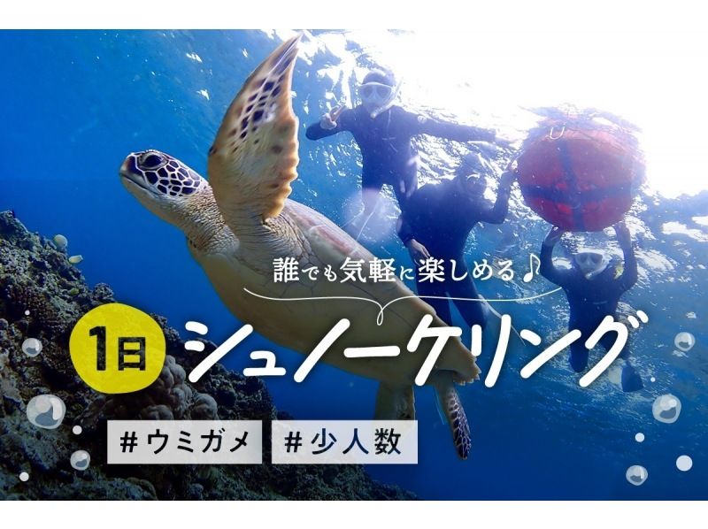 [Okinawa, Ishigaki Island] You can even catch sea turtles and manta rays - Luxury snorkeling with three swims in one day! [Free equipment rental & tour photo gift]の紹介画像