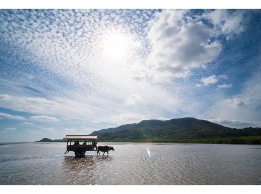 【西表島・由布島】3ロケーションウェディングフォトプランの画像