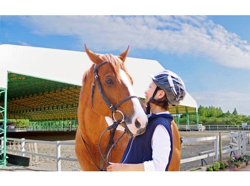 【兵庫／明石・東播磨】初めての方はコレ！体験乗馬1回コースの画像