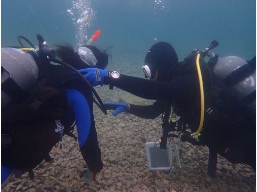 SALE！【静岡・西伊豆・大瀬崎】ライセンス取得コース（BSAC・オーシャンダイバーコース・2日間）レンタル器材無料の画像