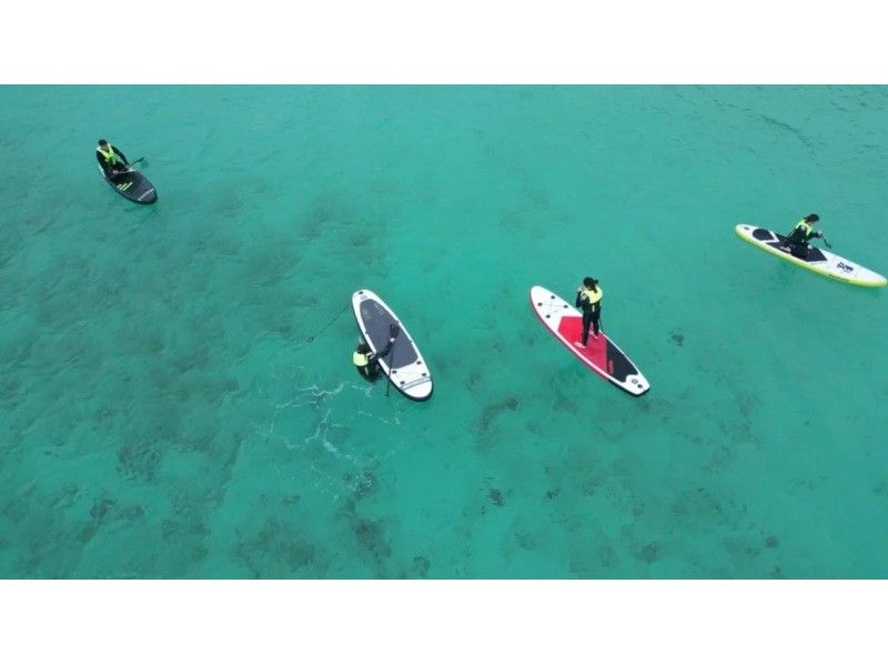 沖繩本島【SUP板租借】初學者也歡迎☆彷彿在海上散步♪沖繩絕佳的SUP租借☆當天可預約◎の紹介画像