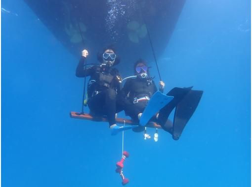 [You can take photos on the underwater swing during your trial diving experience ☆ Free camera rental if you post a review] Full of free menu items for thrilling and relaxing experiences! Okinawa's popular cake gift included!の画像