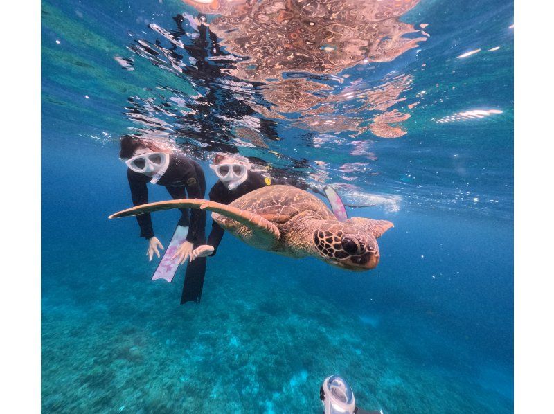 Swim with turtles at Nakayukui Beach Entry Snorkeling in Onna Villageの紹介画像