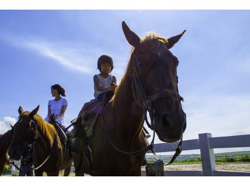 983 [Kumamoto / Aso] Horse riding experience (horse trekking: adventure course)の紹介画像