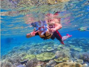Iriomote Island Canoe Club Sokakaze