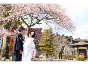 [Miyagi, Shibata] Shibata Ichimen Senbonzakura! Wedding photo shoot plan