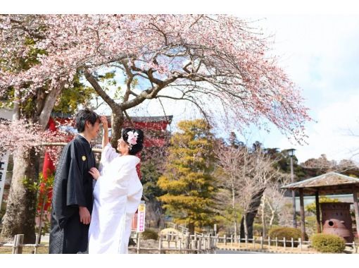 [Miyagi, Shibata] Shibata Ichimen Senbonzakura! Wedding photo shoot planの画像