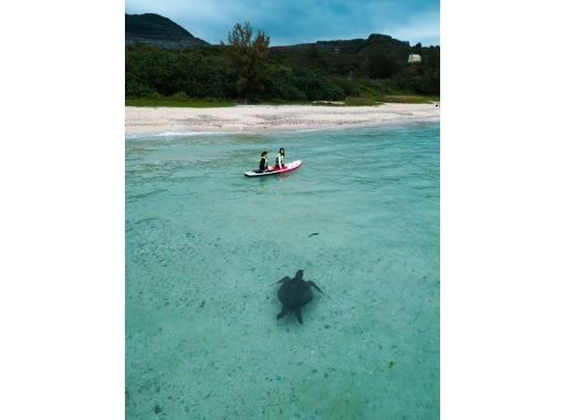 【沖縄本島】感動の出会い！ウミガメが泳ぐ楽園ビーチでSUPクルージングの画像