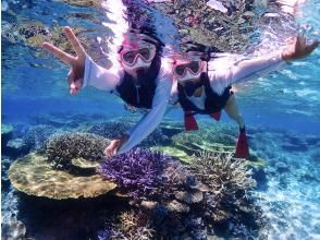 [Miyakojima] The shortest route to Yaebiji - sailing from Ikema Island! We are confident in drone photography and photo data! Yabiji half-day snorkeling in one of Japan's largest coral reefs (small group size)