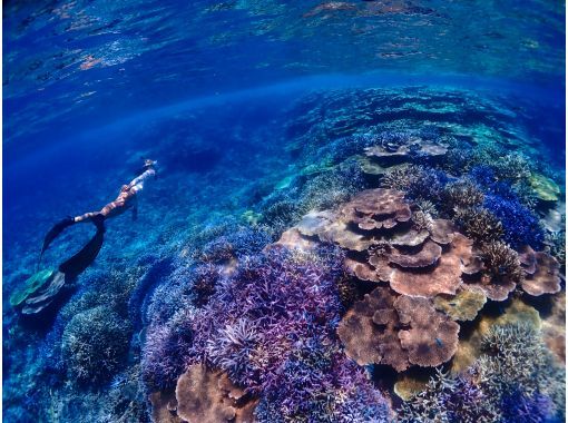 [Miyakojima] Departing from Ikema Island, the shortest route to Yaebiji! We are confident in our drone photography and photo data! A half-day skin diving tour of Japan's largest coral reef (small group size)の画像