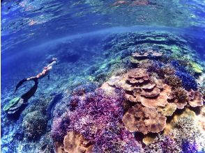 [Miyakojima] Departing from Ikema Island, the shortest route to Yaebiji! We are confident in our drone photography and photo data! A half-day skin diving tour of Japan's largest coral reef (small group size)
