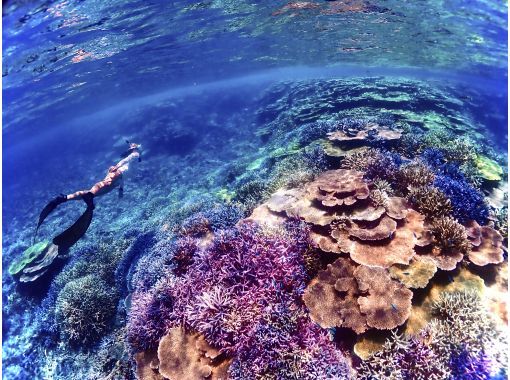 [Miyakojima] Departing from Ikema Island, the shortest route to Yaebiji! We are confident in our drone photography and photo data! A half-day skin diving tour of Japan's largest coral reef (small group size)の画像