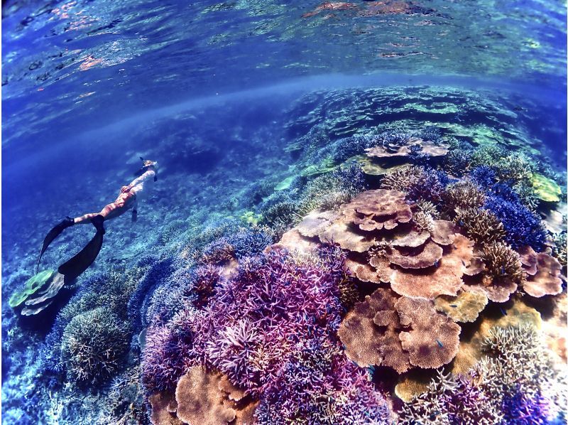 [Miyakojima] Departing from Ikema Island, the shortest route to Yaebiji! We are confident in our drone photography and photo data! A half-day skin diving tour of Japan's largest coral reef (small group size)の紹介画像