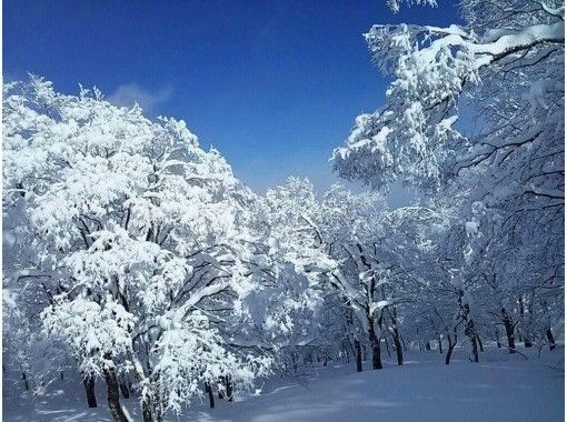 三重県　御在所　スノーシュートレッキング（スノーシューストロール）の画像