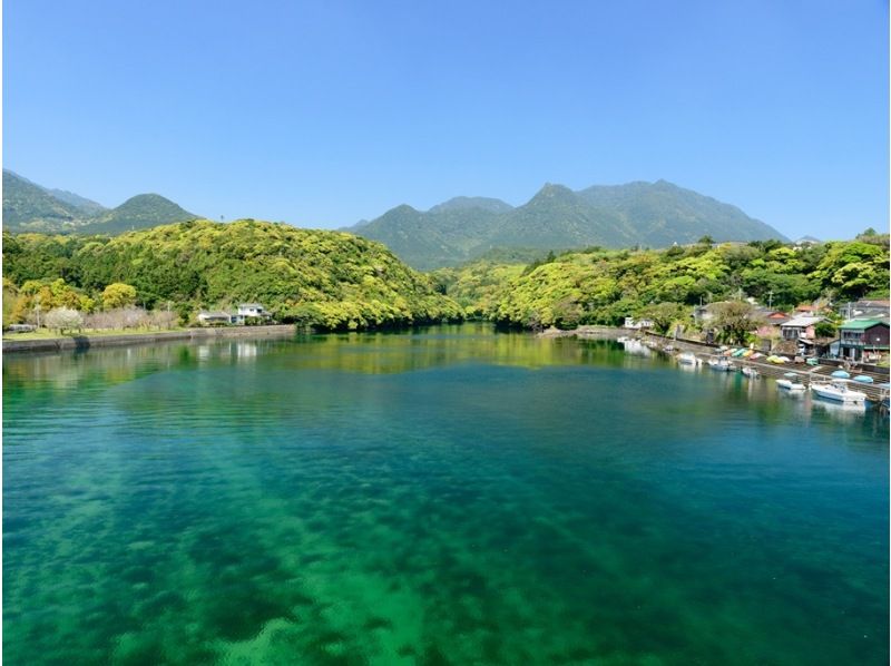 【鹿児島・屋久島】トレッキングの次の日に！「安房川リバーカヤック」初心者/お一人様歓迎！（午前 半日コース）の紹介画像