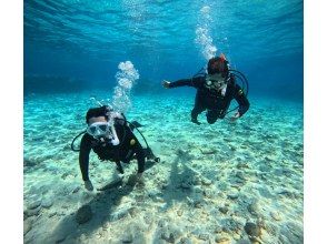 【沖縄北部・名護市発】　美ら海水族館近く、初心者OK！ビーチから行く体験ダイビング！送迎も可能！