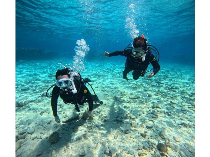 【沖縄北部・名護市発】　美ら海水族館近く、初心者OK！ビーチから行く体験ダイビング！送迎も可能！の紹介画像