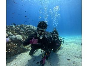 [Northern Okinawa Nago Area, Sesoko Island, Minna Island, Gorilla Chop] Beginners welcome! Experience diving by boat! Pick-up and drop-off available!