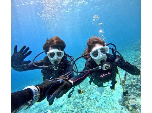 【沖縄北部・水納島・瀬底島 】ボート体験ダイビング2ダイブ 初心者大歓迎！　(10歳から参加OK) 　写真・動画無料プレゼント！の画像