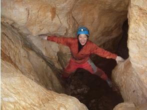 トリッパー合同会社