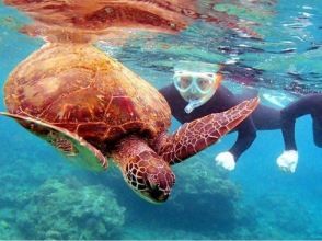 [YAKUSHIMA Snorkeling] Half-day course with video recording