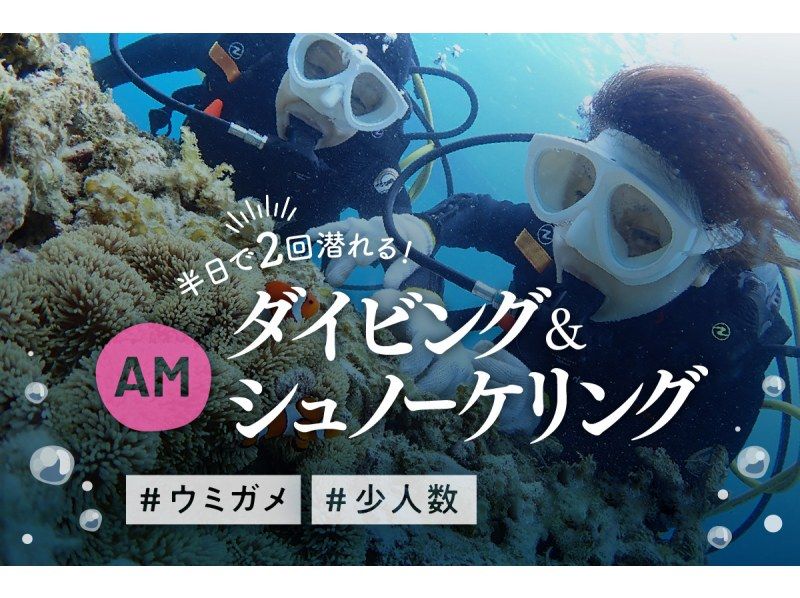 【沖縄・石垣島】半日で体験ダイビング＆シュノーケリング‐2回潜れるよくばりプラン！【器材レンタル無料＆ツアー写真プレゼント】の紹介画像