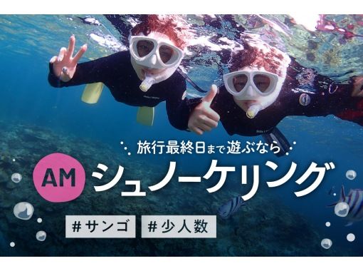 [Okinawa, Ishigaki Island] Enjoy sightseeing in the afternoon - Snorkeling in the Sekisei Lagoon! Small children are welcome to join! [Free equipment rental & tour photo gift]の画像