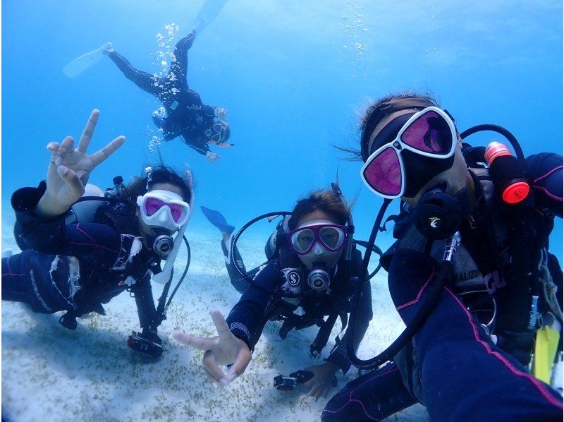 [Departing from Ishigaki City, Okinawa Prefecture] Experience Divingの紹介画像