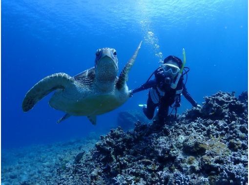 [Okinawa Prefecture, Ishigaki Island City Departure] AM Experience Divingの画像
