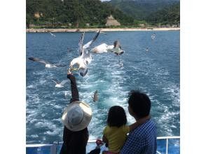 【新潟・村上】笹川流れ観光クルーズチケット