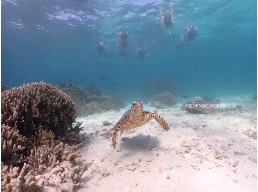 【沖縄本部町・瀬底島】お子様、初心者大歓迎！バナナボートで行くシュノーケリング☆美しい自然が残る瀬底島の絶景を堪能☆美ら海水族館の行き帰りにの画像