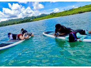 【今帰仁村、古宇利島、美ら海水族館、ジャングリア周辺開催】 完全貸切 SUP & シュノーケリング｜思い出の写真データ無料プレゼント