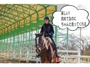 [Hyogo / Akashi and Eastern Harima] enjoy the horse riding! Premium experience horse riding courseの画像