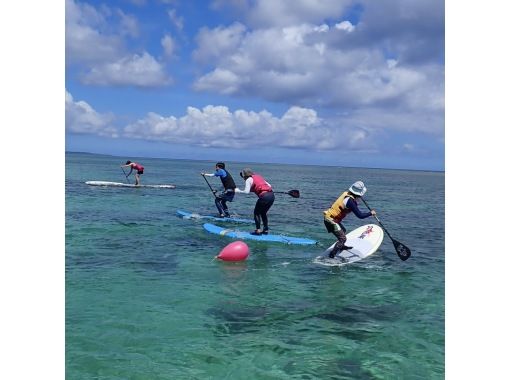 【今帰仁村、古宇利島、美ら海水族館、ジャングリア周辺開催】1組貸切り♪ SUPスキルアップパドルクリニック♪ 動画・写真プレゼント♪の画像